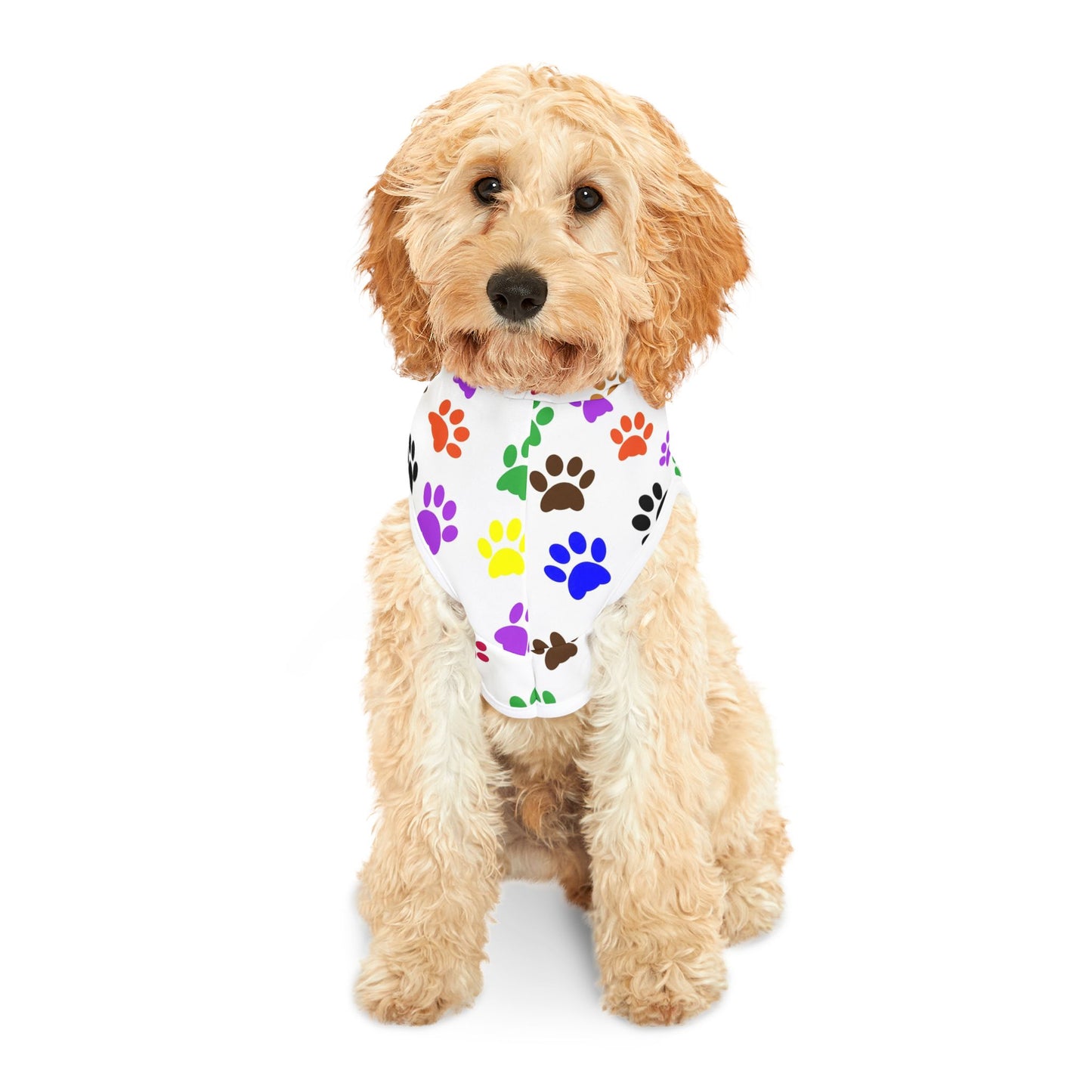 Colorful Pet Hoodie for Stylish Dogs, Cozy Dog Sweater, Cute Animal Clothing, Pet Gift, Dog Owner Apparel