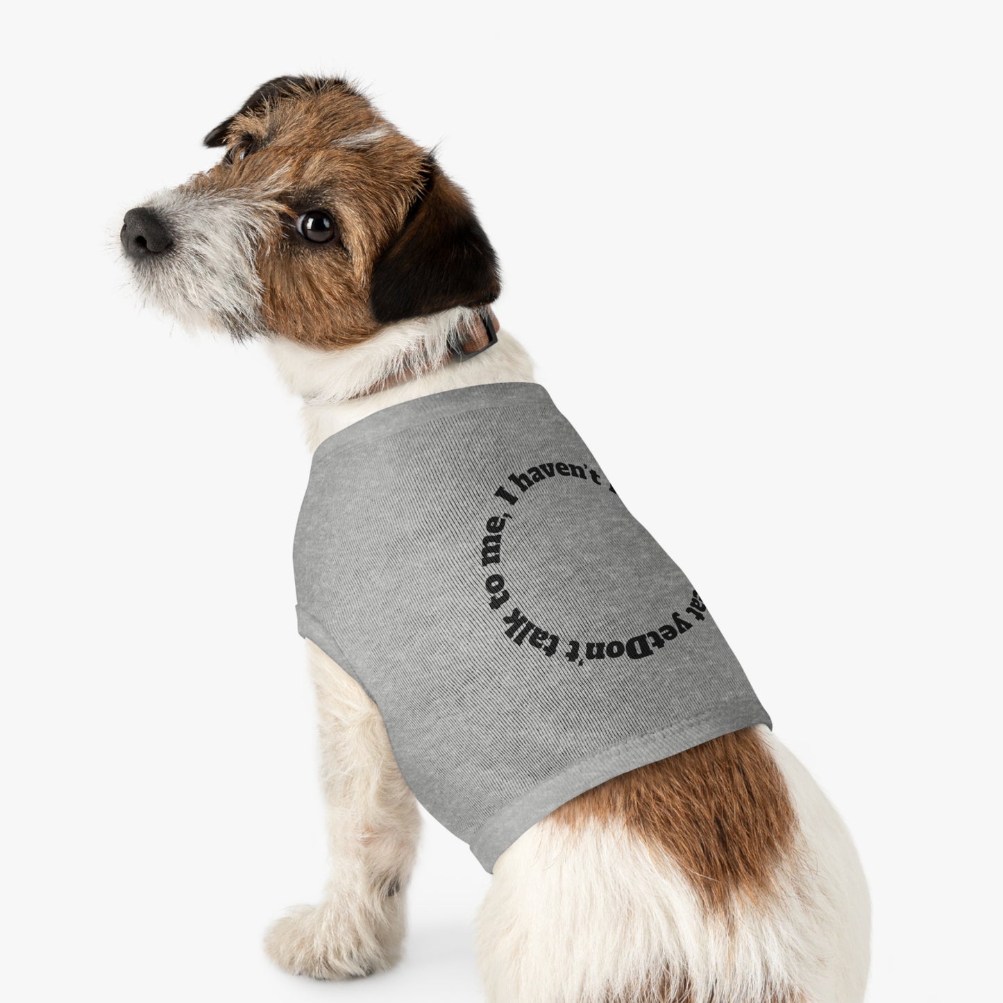 Funny Dog Tank Top - "Don't Talk to Me" Pet Apparel, Cute Canine Gift, Dog Clothes for Small Breeds, Pet Birthday Party