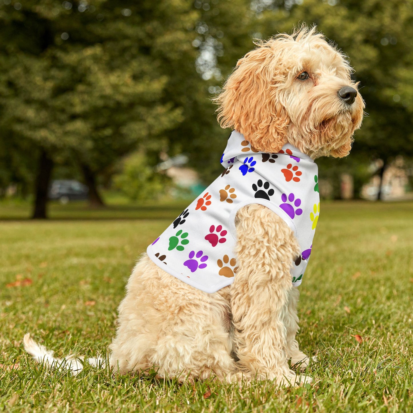 Colorful Pet Hoodie for Stylish Dogs, Cozy Dog Sweater, Cute Animal Clothing, Pet Gift, Dog Owner Apparel