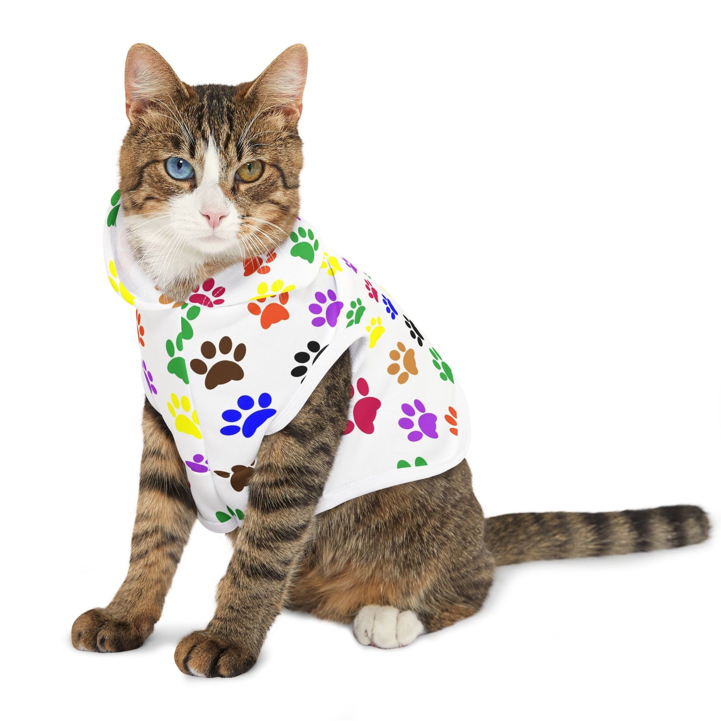 Colorful Pet Hoodie for Stylish Dogs, Cozy Dog Sweater, Cute Animal Clothing, Pet Gift, Dog Owner Apparel